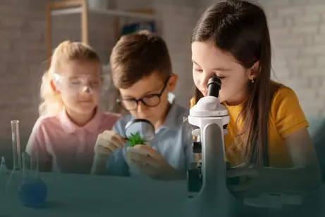 Biologie Nachhilfe